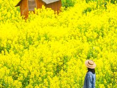 -中国天府农业博览园