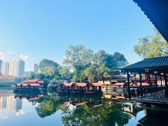 -侨美·唐荔园·40年地道粤菜