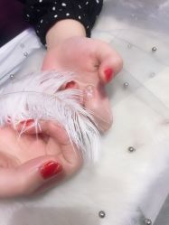 -RL Nail·瑞丽美甲美睫品牌原创店