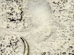 -北海金海湾红树林生态旅游区