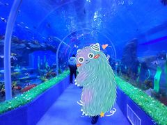 -石家庄极地海洋世界