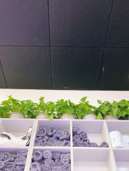 -FUTURE HN男士发型风格设计