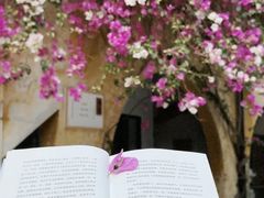 -广州市紫泥堂文化创意园景区