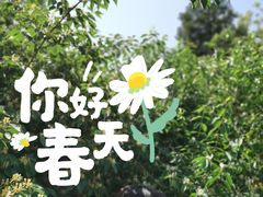 -平山城鑫烧烤(建国楼店)