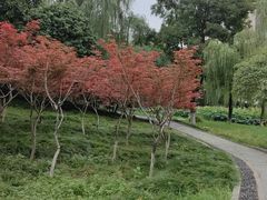 -后襄河公园