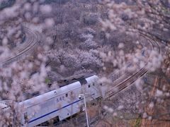 -居庸关长城