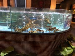 水产区-观澜湖酒店·邀月庭中餐厅