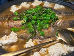 -探鱼·鲜青椒爽麻烤鱼(苏宁广场店)