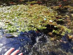 -水磨沟公园