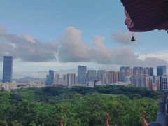 -深圳龙潭公园