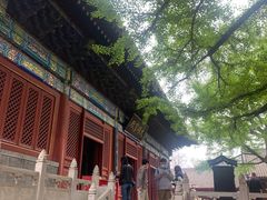 -红螺寺