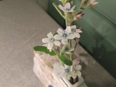 -南堂馆·新川菜(春熙路店)