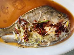 -渔公码头·九龙湾国际饭店