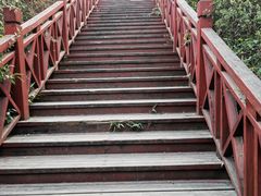 -清凉山国家森林公园