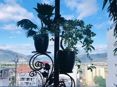 -芽庄珍珠岛游乐园
