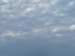 -特种渔场