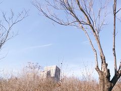 -滨河世纪广场公园