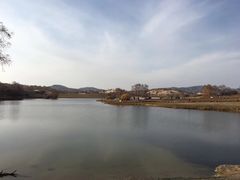-乌兰布统草原