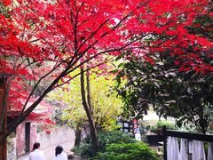 -融汇温泉