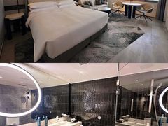 -新加坡乌节希尔顿酒店 (SG Clean)