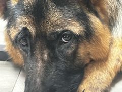 -海底捞火锅(方圆荟店)