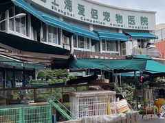 -爱侣宠医·鹦鹉专科·小型哺乳类·异宠专科(灵石路店)