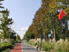 -上海长兴岛郊野公园