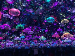 -梵高星空艺术馆(北京旗舰店)