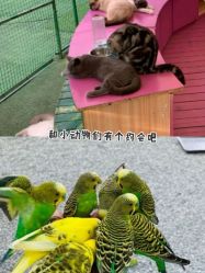 -萌宠亲子动物乐园(槐房万达店)