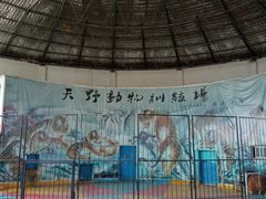 -新疆天山野生动物园