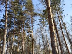 -长春市南湖公园