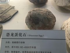 -中国第四纪冰川遗迹陈列馆