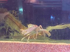 -光兴海鲜排档·小炒(莱利园店)