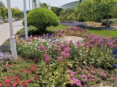 -石家庄市植物园