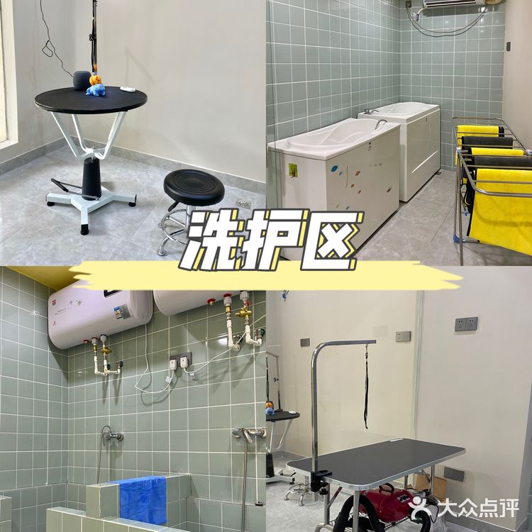 重庆超大明星宠物店｜毛孩子的快乐星球 