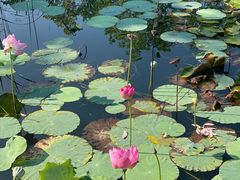 -雅达·阳羡溪山小镇中心