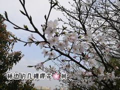 -洋湖国家湿地公园