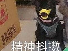 -天津津利华酒店