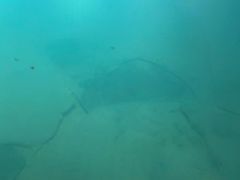 -白鹤梁水下博物馆