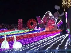 -三亚海昌梦幻海洋不夜城