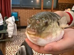 -永安鱼庄·镇江菜(丁卯店)