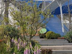-后襄河公园