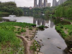 -重庆彩云湖湿地公园