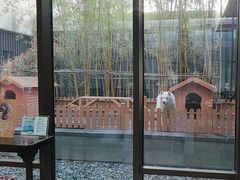 -上海崇明金茂凯悦酒店