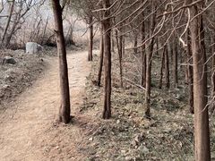 -北京凤凰岭