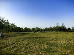 -汉长安城未央宫国家考古遗址公园