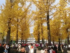 -百林公园-两江幸福广场