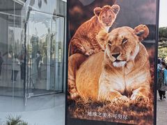 -罗红摄影艺术馆