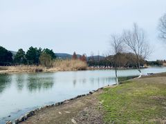 -长广溪湿地公园