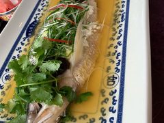 鲥鱼-宁波状元楼酒店(和义路店)